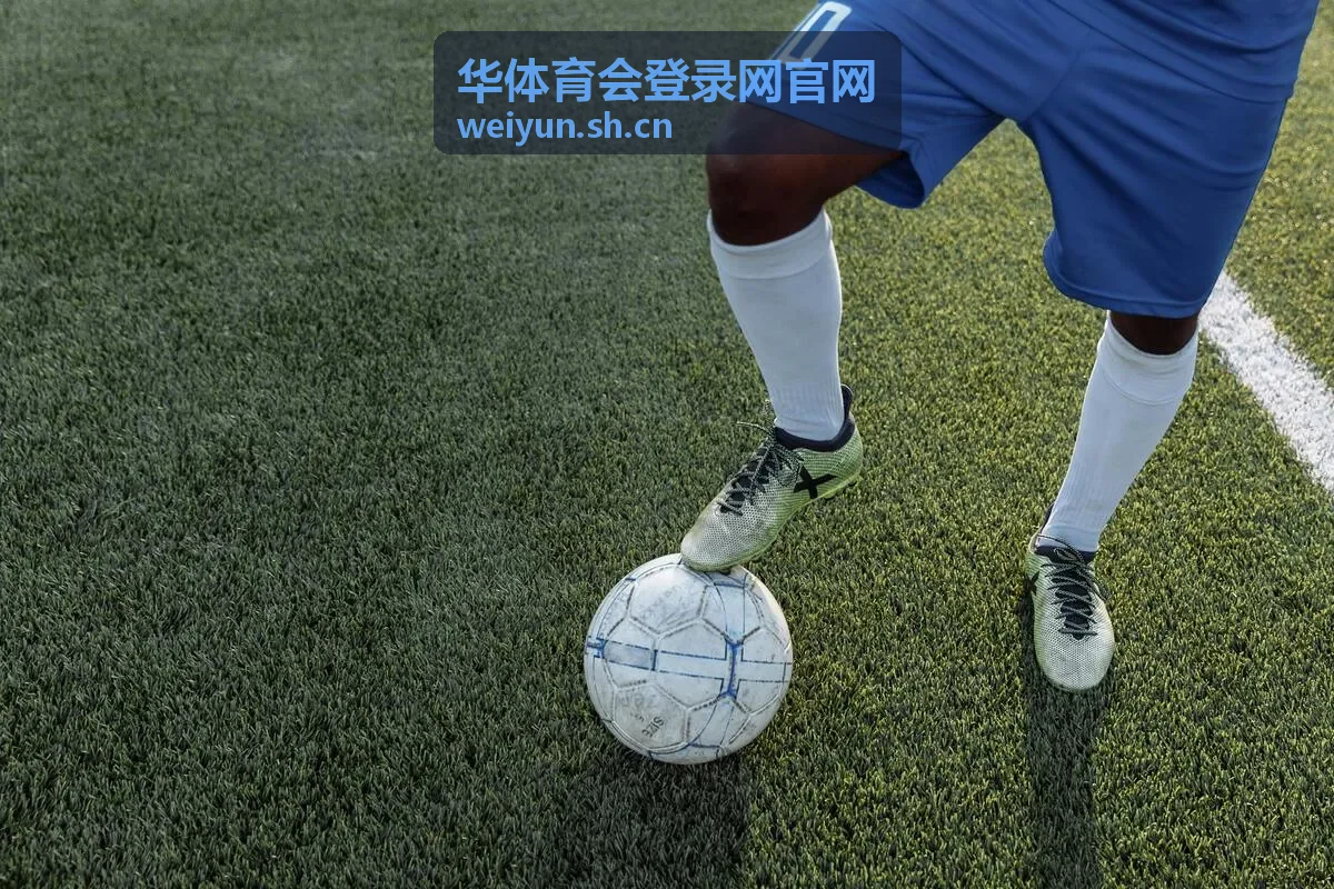 华体育会登录网官网桌面端登录入口位置示意