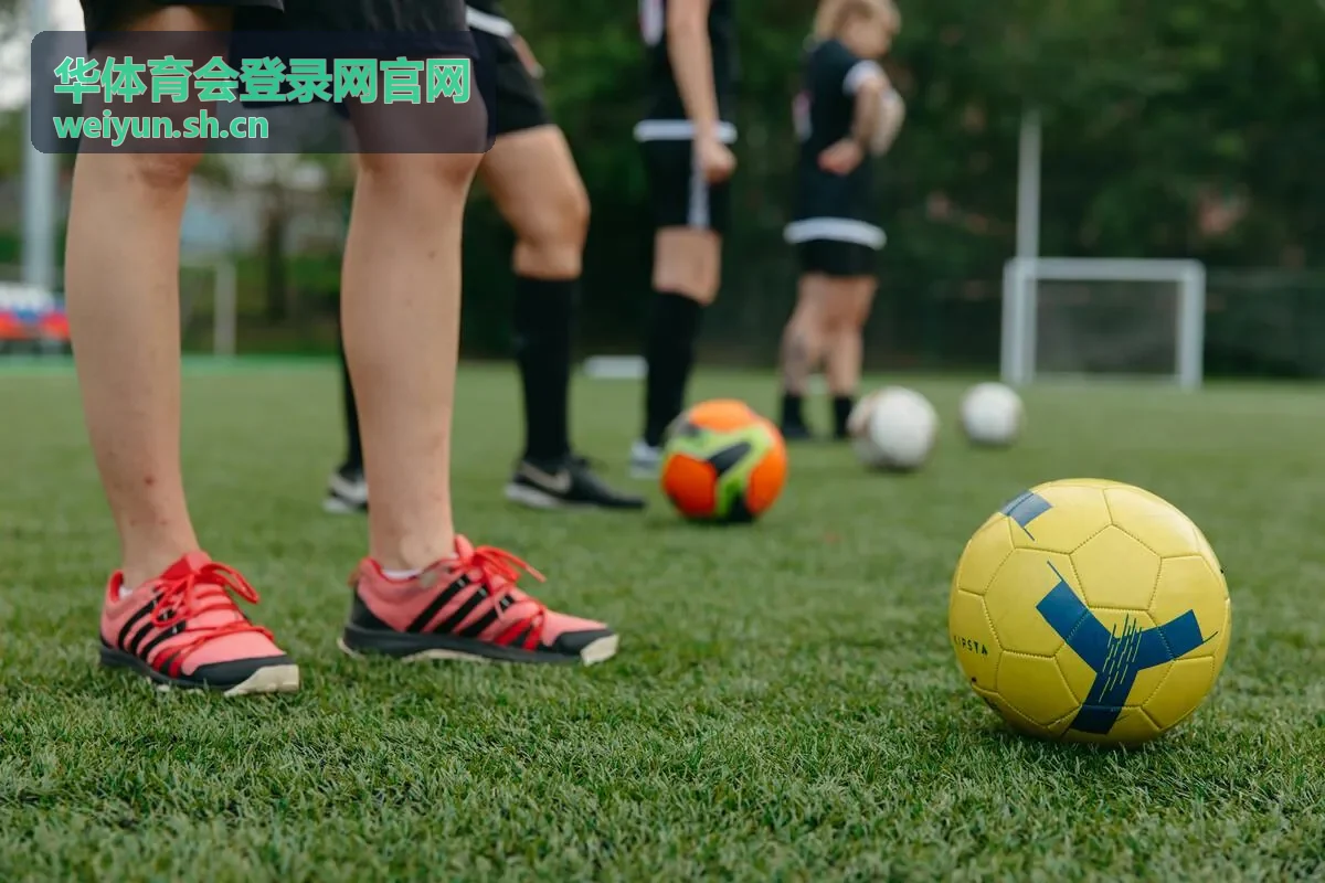 华体育会登录网官网会员服务说明栏目封面