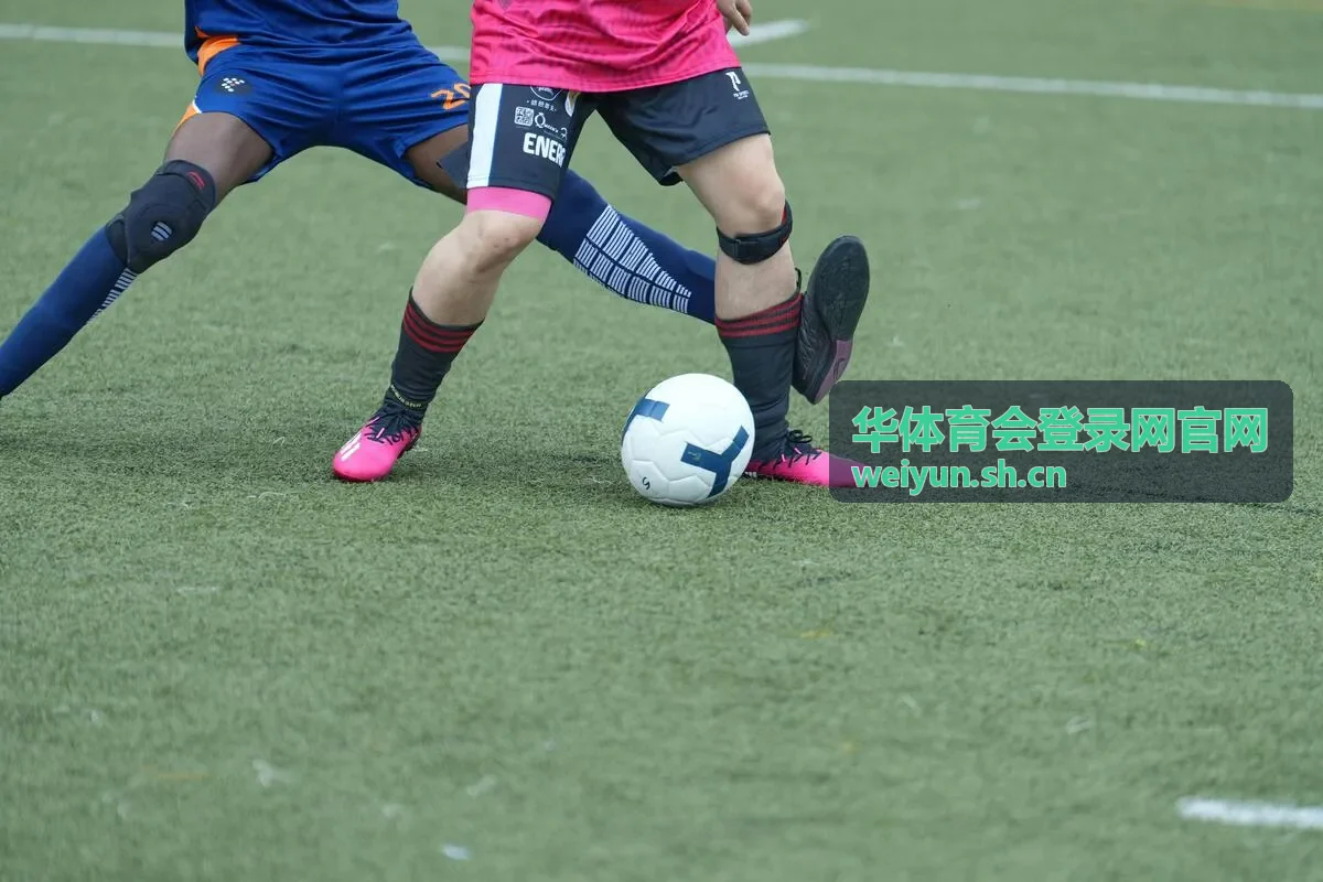 华体育会登录网官网已登录设备与登录记录核对示意