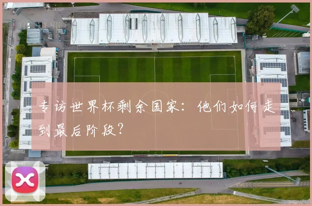专访世界杯剩余国家：他们如何走到最后阶段？