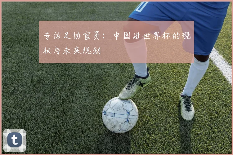 专访足协官员：中国进世界杯的现状与未来规划
