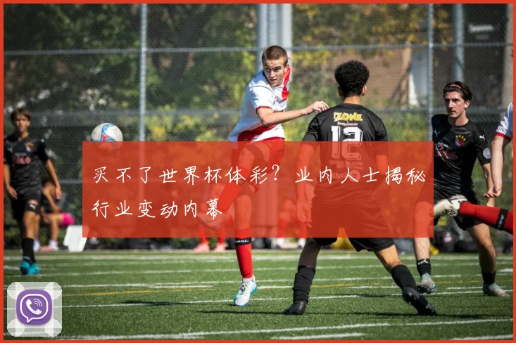 买不了世界杯体彩？业内人士揭秘行业变动内幕