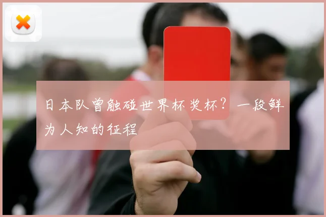 日本队曾触碰世界杯奖杯？一段鲜为人知的征程