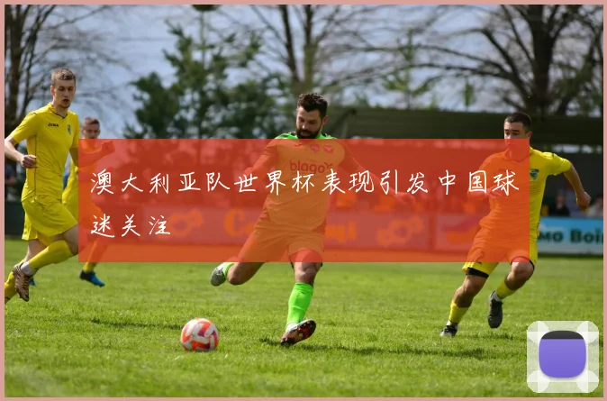 澳大利亚队世界杯表现引发中国球迷关注