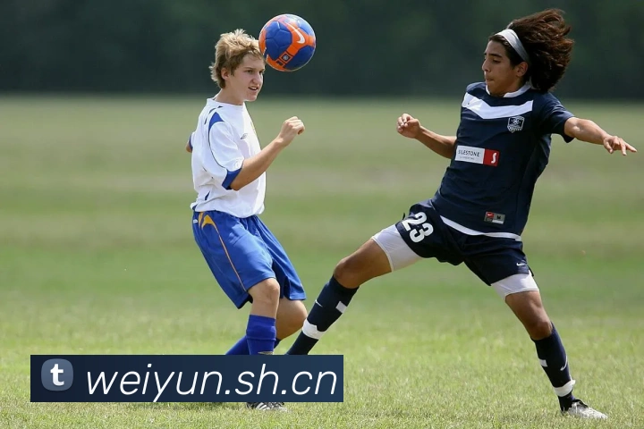 开云app官方入口网站APP 高清赛事图