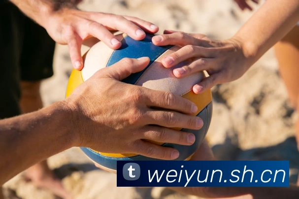 数据防护可视化